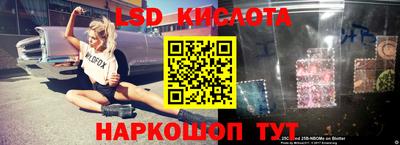 Альфа ПВП Краснознаменск