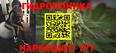Альфа ПВП Краснознаменск