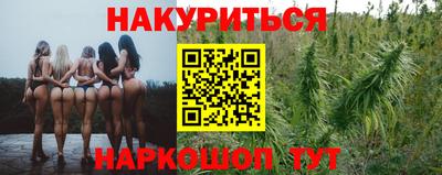 Альфа ПВП Краснознаменск