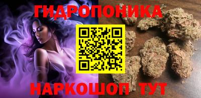 Альфа ПВП Краснознаменск